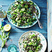 Wild Rice, Pea And Broccoli Salad Poster