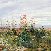 Wildflowers With A View Of Dublin Dunleary Poster