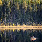 Wilgress Lake British Columbia Poster