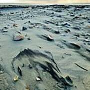 Windblown Beach Poster