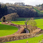 Winding Country Lane Poster