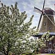 Windmill At Windmill Gardens Holland Poster