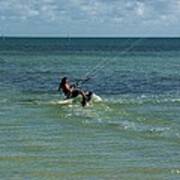 Windsurfer And Friend Poster