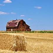 Windswept And Lonely Colorado Barn Poster