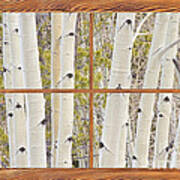 Winter Aspen Tree Forest Barn Wood Picture Window Frame View Poster