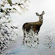 Winter Deer Poster