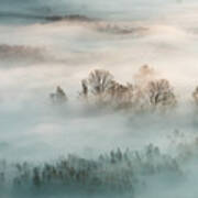 Winter Fog Poster