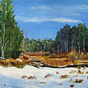 Winter Marsh In Hooksett Poster