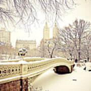 Winter - New York City - Central Park Poster