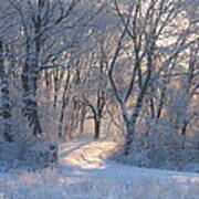 Winter Sunrise Hoar Frost Poster