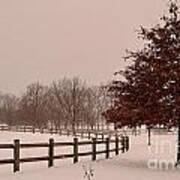 Winter Trees In Park Poster