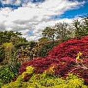 Wisley Garden Wall Poster