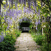 Wisteria Archway Poster