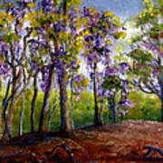 Wisteria In Louisiana Trees Poster