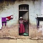 Woman In Front Of The House Democratic Poster