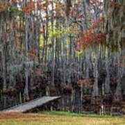 Wooden Dock On Autumn Swamp Poster