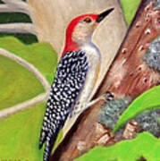 Woodpecker Poster