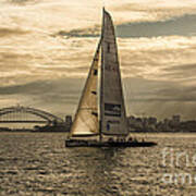 Yachts On Sydney Harbour Poster