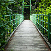 Yagen Forest Bridge Poster