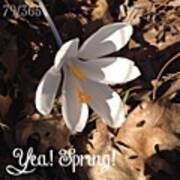 Yea! Spring! And I Still Have A Few Poster