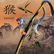 Year Of The Monkey Poster