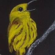 Yellow Bird Poster