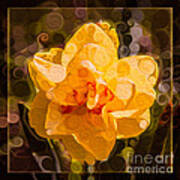 Yellow Daffodil In An Abstract Garden Painting Poster