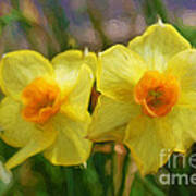 Yellow Daffodil Painting Poster
