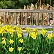 Yellow Flowers By The Weathered Bench Poster