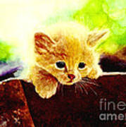 Yellow Kitten Poster