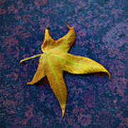 Yellow Leaf On Marble Poster