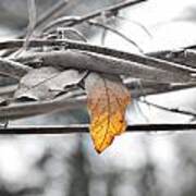 Yellow Leaf Poster