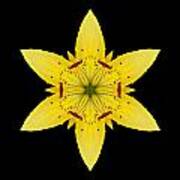 Yellow Lily I Flower Mandala Poster