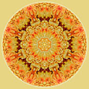 Yellow Orange Mum Mandala Poster