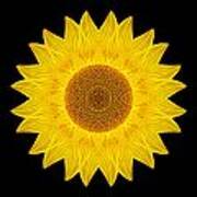 Yellow Sunflower Ix Flower Mandala Poster