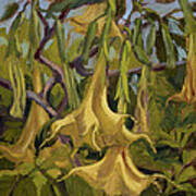 Yellow Trumpets Poster