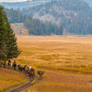 Yellowstone Pack Trips Poster