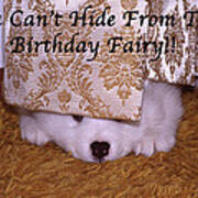 You Can't Hide Birthday Card Poster
