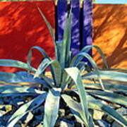 Yucca Color Poster