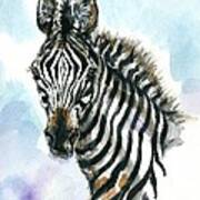 Zebra 1 Poster