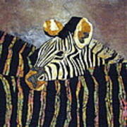 Zebra Baby Poster