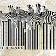 Zebra Barcode Poster