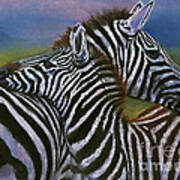 Zebras In Love Giclee Print Poster