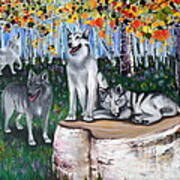 Zorros Wolves Amid The Aspens Poster