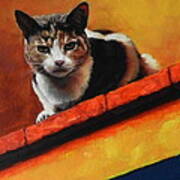 A Top Cat In The Shadow, Peru Impression Poster