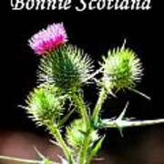 Bonnie Scotland #1 Poster
