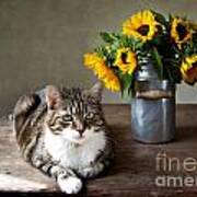 Cat And Sunflowers #1 Poster