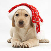 Christmas Puppy #1 Poster