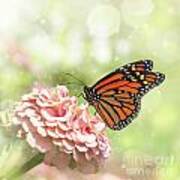 Dreamy Monarch Butterfly #1 Poster