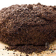 Espresso Coffee Grounds #1 Poster